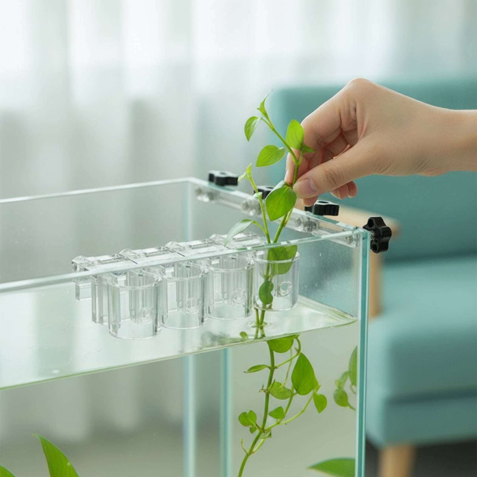 Aquarium Plants - Set di 6 Supporti per Piante