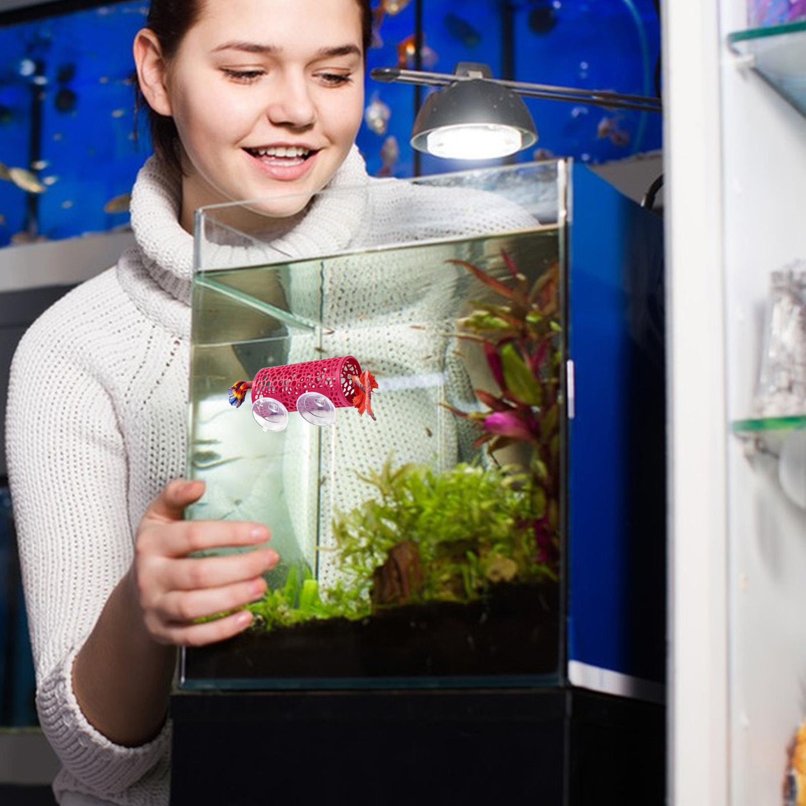 Aquarium Fish Betta - Tunnel Giocattolo per Pesci Betta, Rifugio