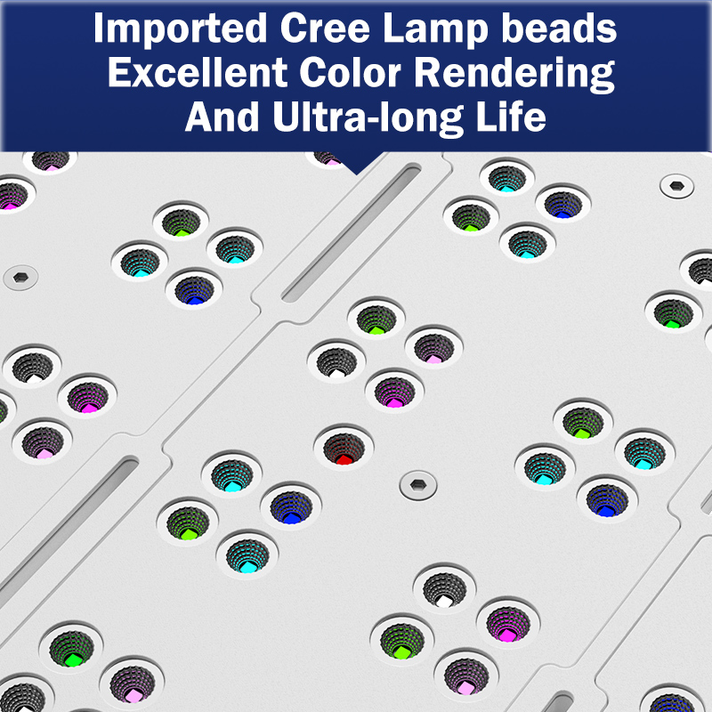 Aquarium Light - Lampada LED KASSRAY T169/T215 CREE a