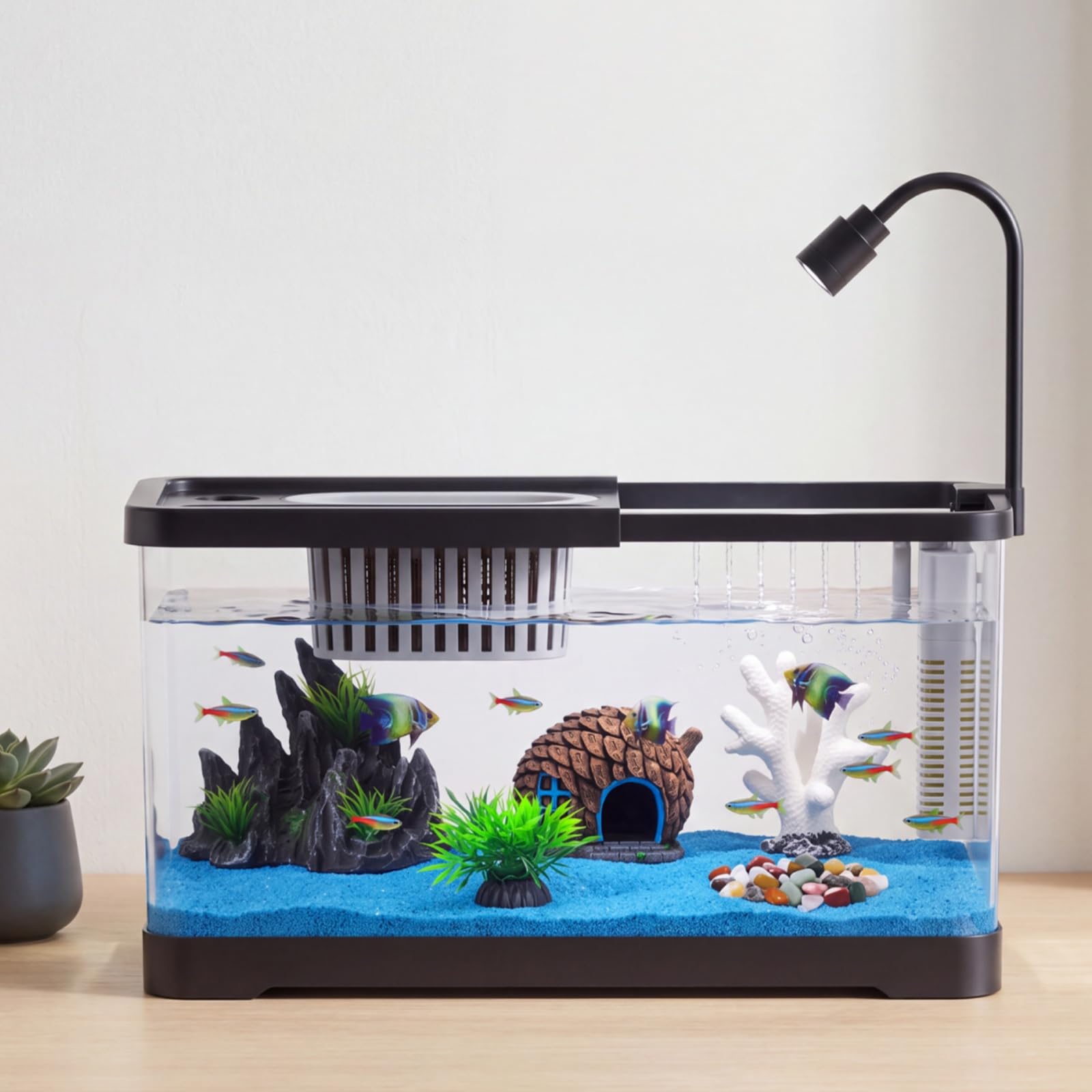 Aquarium Fish Betta - Kit Iniziale per Acquario con Filtro