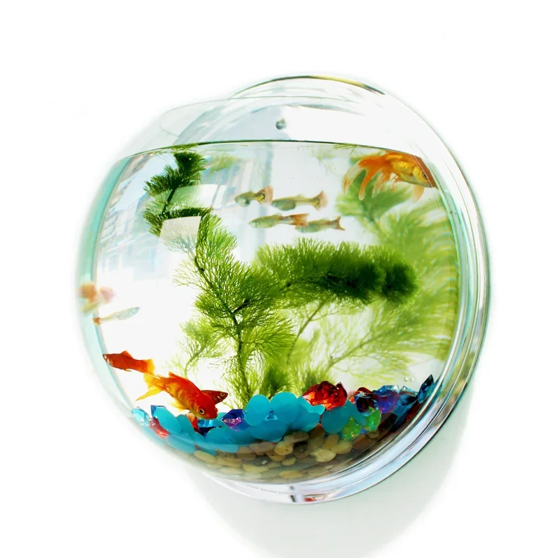 Betta Fish Tank - Pinsjar Ciotola per pesci in acrilico