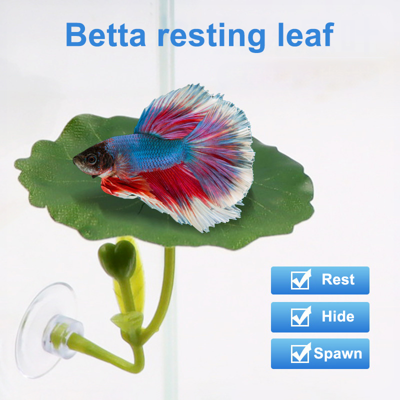 Aquarium Fish Betta - (Ce14)1/5PC Amaca a forma di foglia