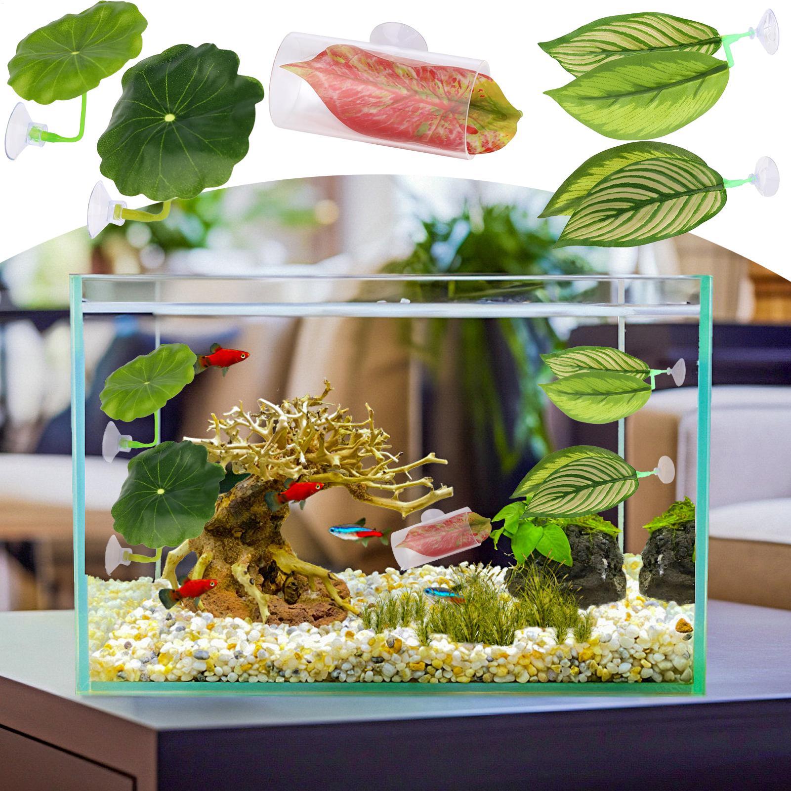 Aquarium Fish Betta - Amaca per pesci Betta 5 pezzi