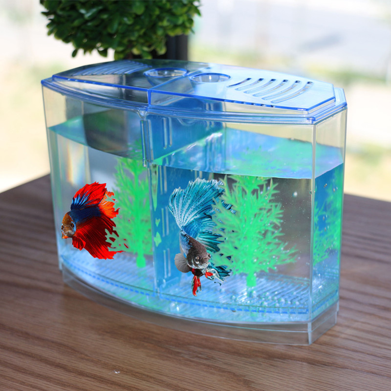 Aquarium Fish Keeping - Giocattolo nuovo e divertente Scatola di