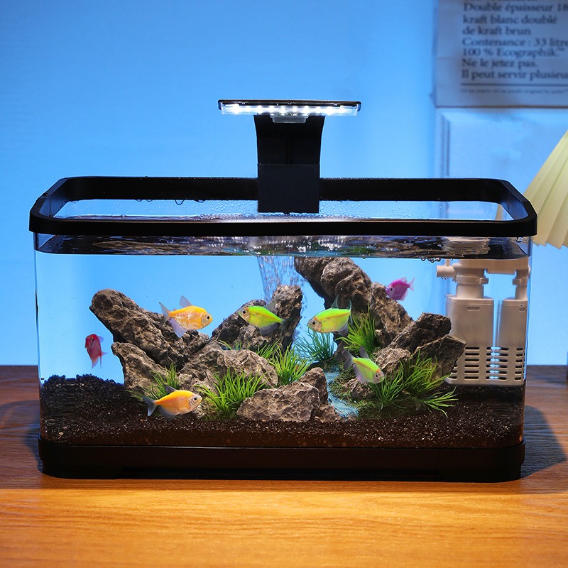 Fish Tank Filter - Acquario da tavolo con filtro a