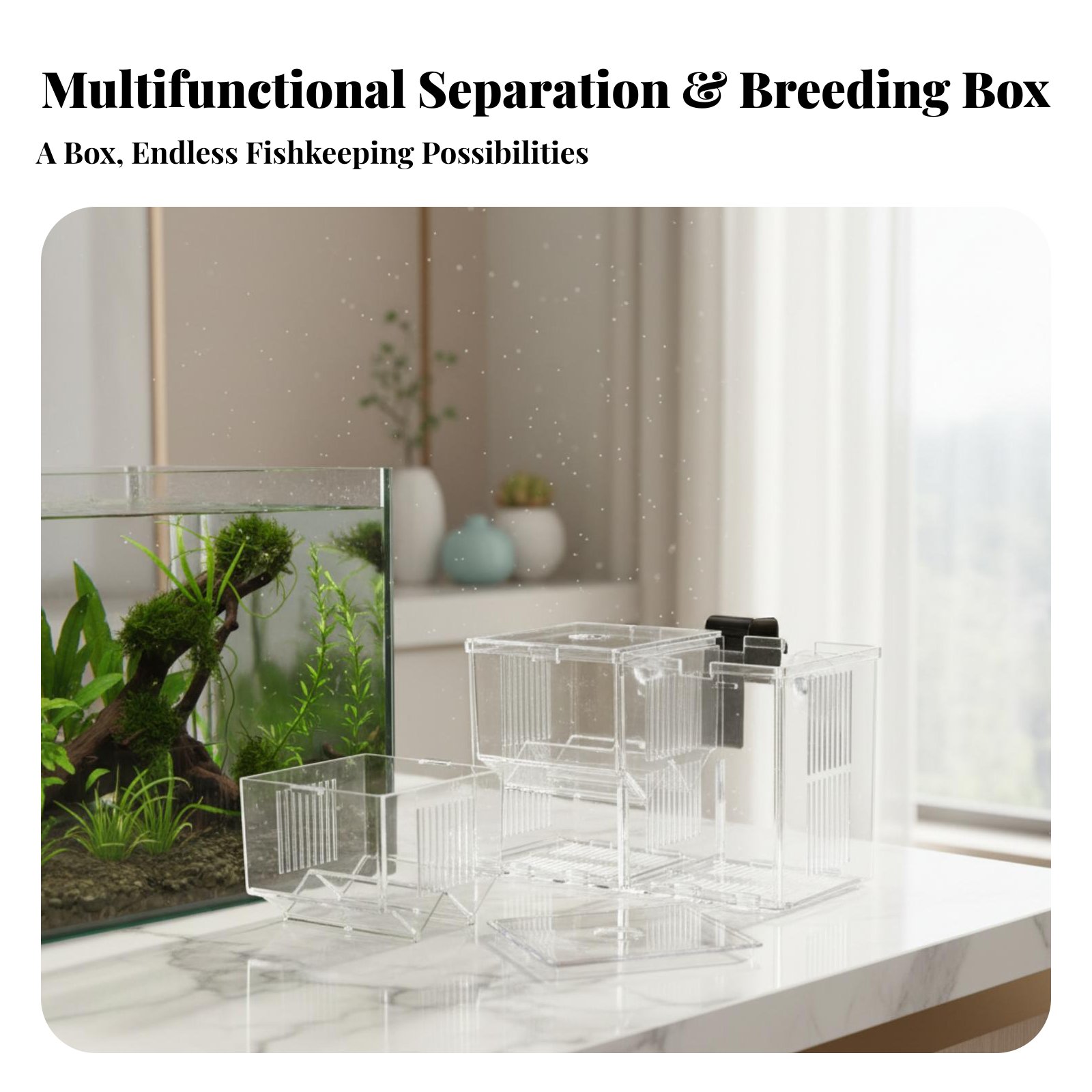 Scatola per Incubazione e Sepa - Aquarium Fish Tank recensione e prezzo
