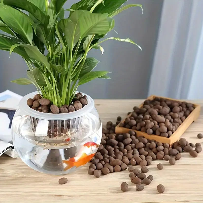 Pellet di terracotta leggeri e - Aquarium Decor recensione e prezzo