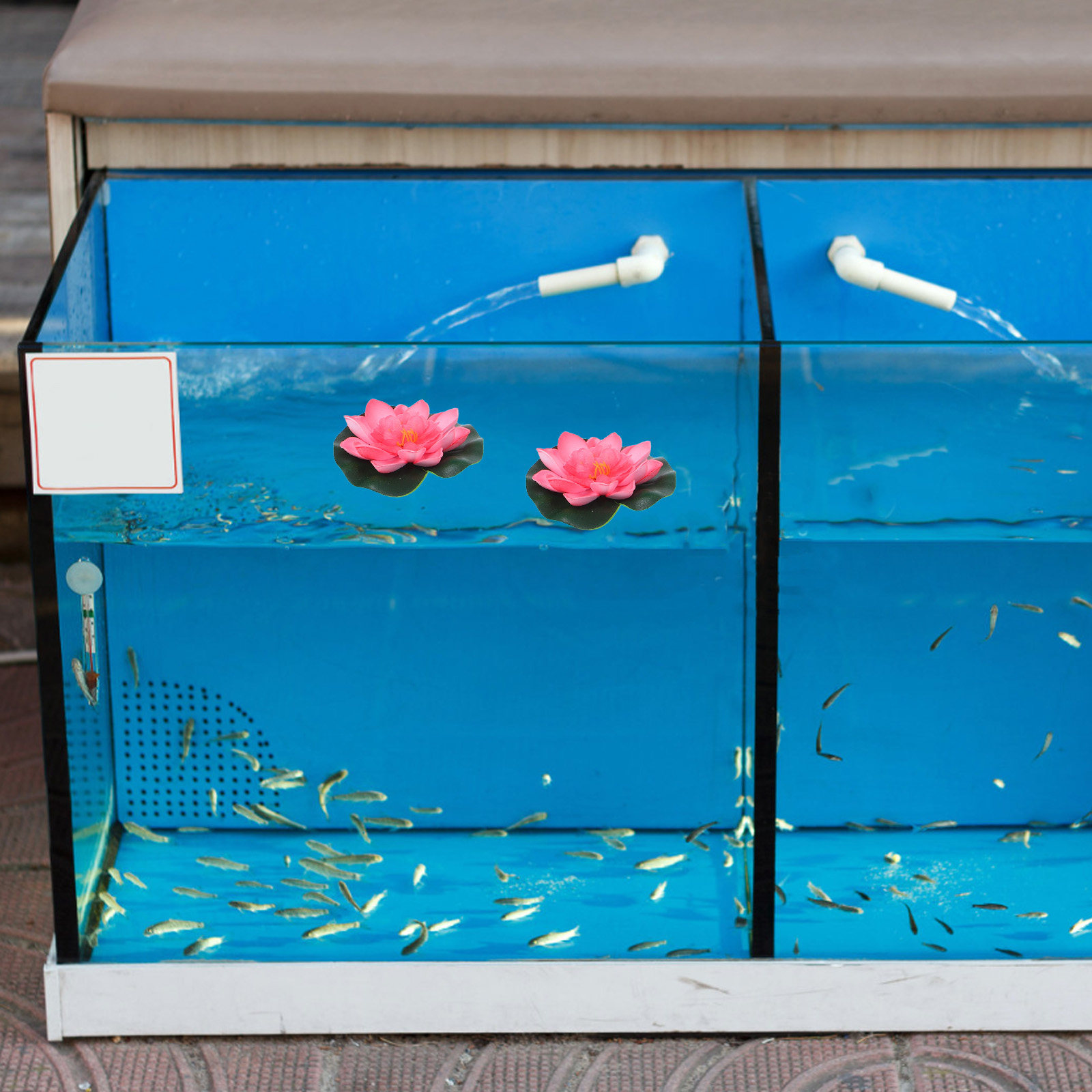 12 fiori artificiali galleggia - Aquarium Decor recensione e prezzo