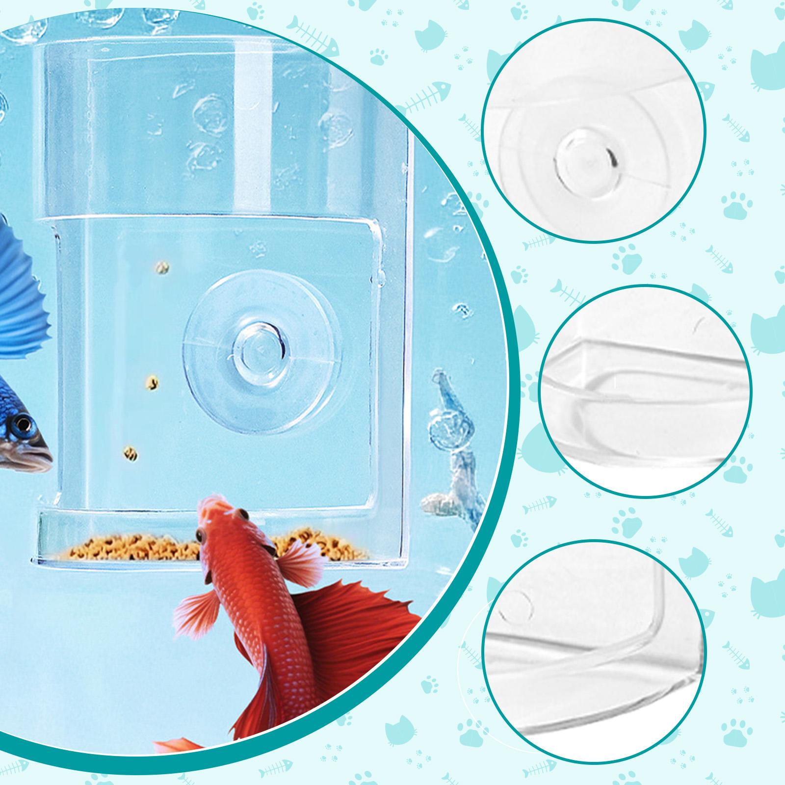 Anello Galleggiante per Alimen - Aquarium Fish Keeping recensione e prezzo