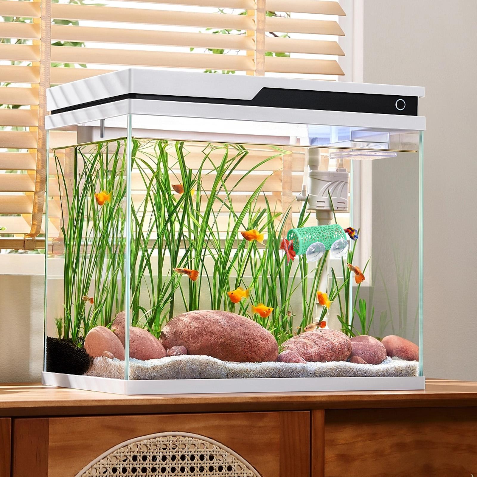 Tunnel Giocattolo per Pesci Be - Aquarium Fish Betta recensione e prezzo