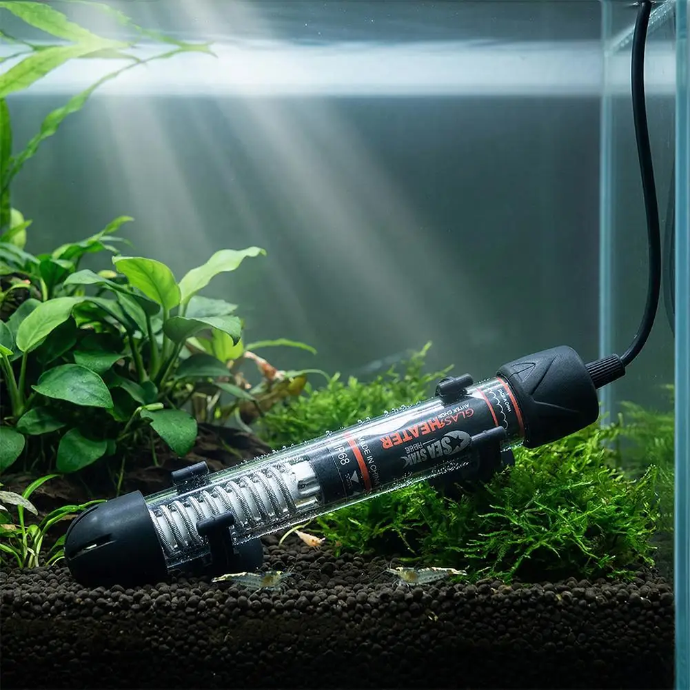 Riscaldatore per Acquario Rego - Fish Tank Heater recensione e prezzo