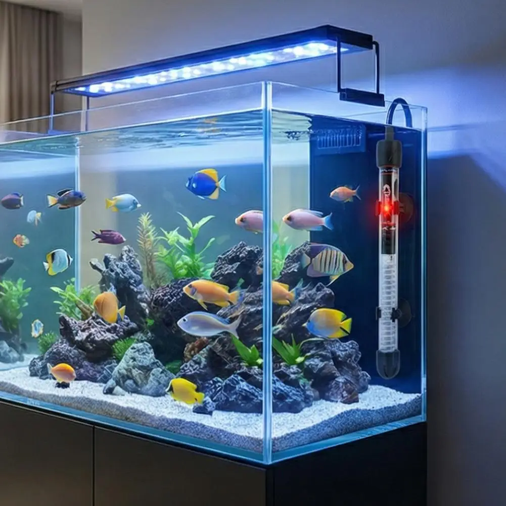 Riscaldatore per Acquario Rego - Fish Tank Heater recensione e prezzo