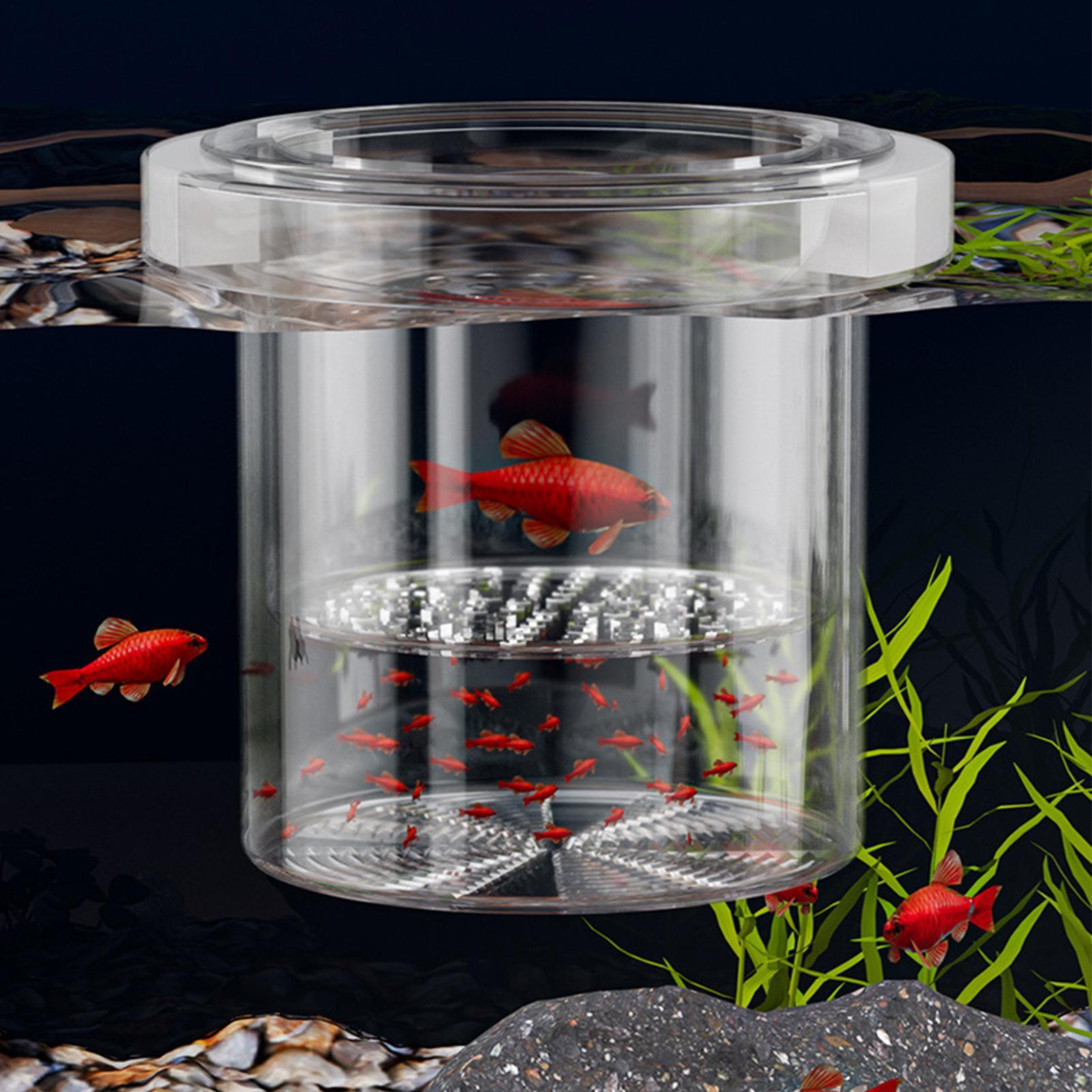 Contenitore Resistente per l'A - Betta Fish Tank recensione e prezzo