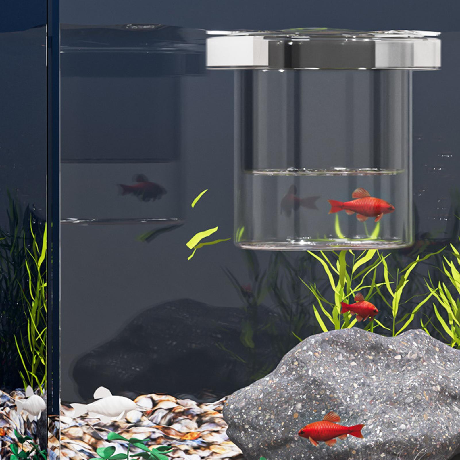 Contenitore Resistente per l'A - Betta Fish Tank recensione e prezzo