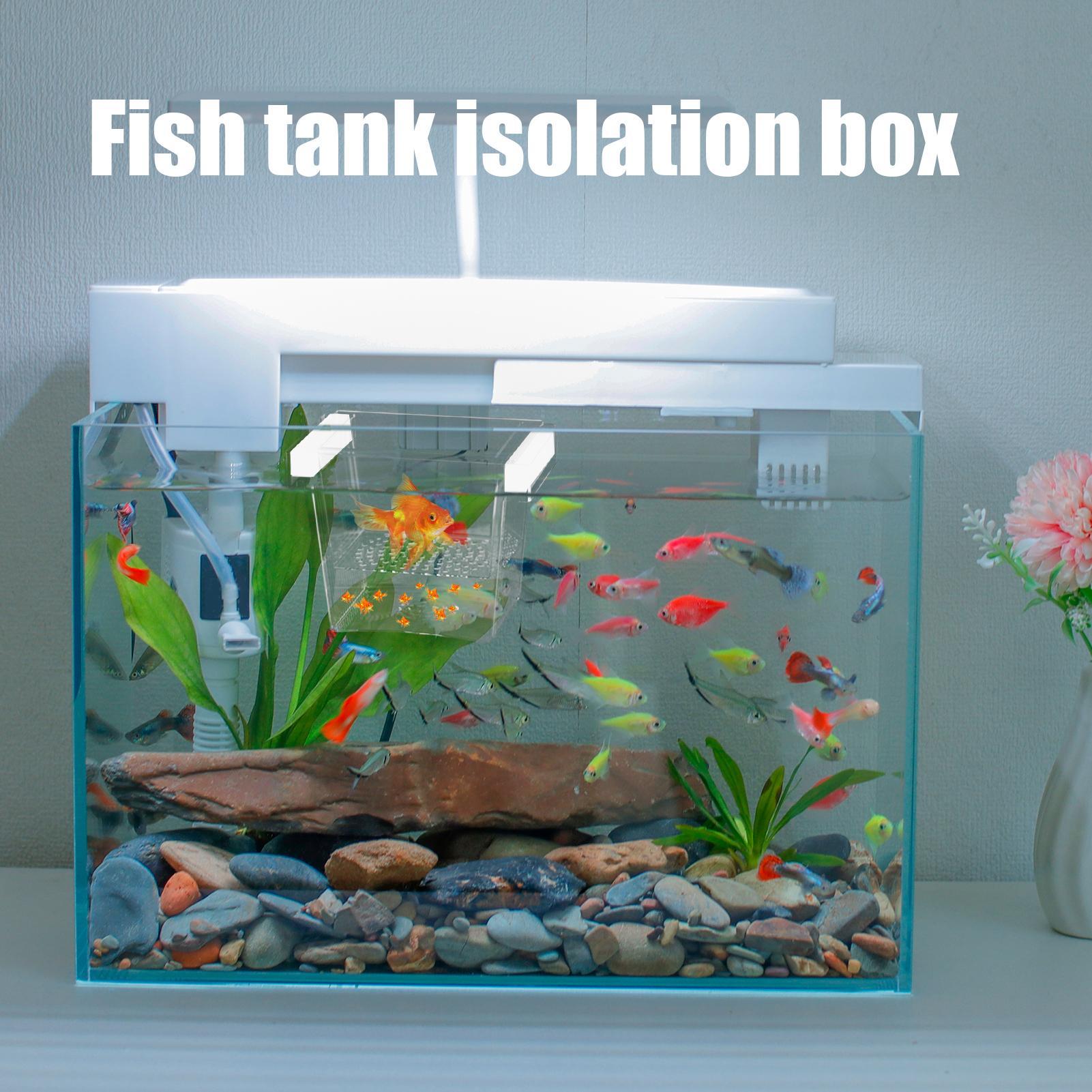 Contenitore Resistente per l'A - Betta Fish Tank recensione e prezzo
