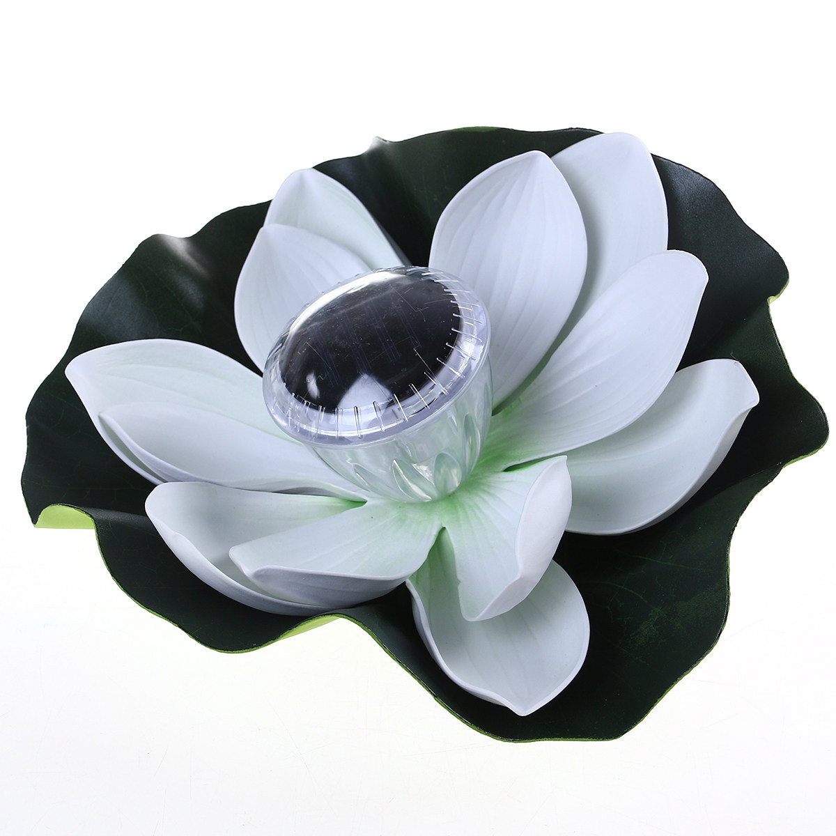 Decorazione Luminosa per Laghe - Aquarium Decor recensione e prezzo