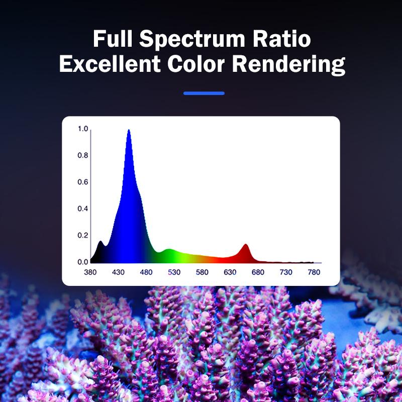 Lampada LED KASSRAY T169/T215  - Aquarium Light recensione e prezzo