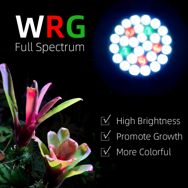 Y30SE Lampadina per coltivazio - Aquarium Light recensione e prezzo