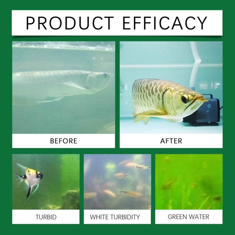 Compresse per la Purificazione - Aquarium Fish Keeping recensione e prezzo