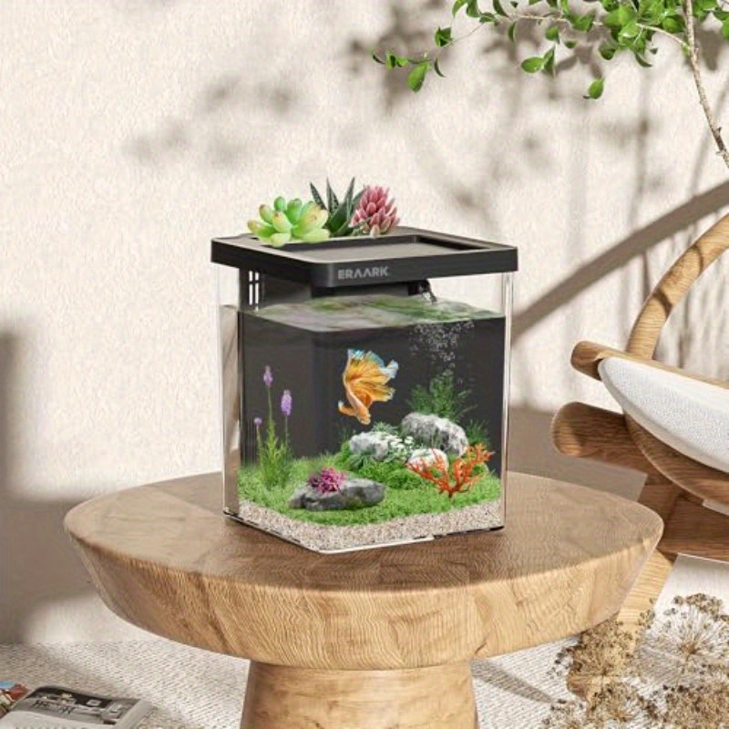 Acquario da scrivania per casa - Aquarium Fish Keeping recensione e prezzo