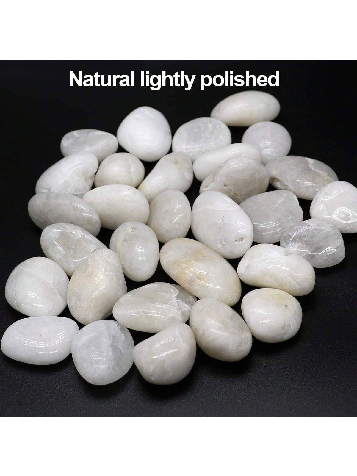 Rocce di fiume Pietre decorati - Fish Tank Gravel recensione e prezzo