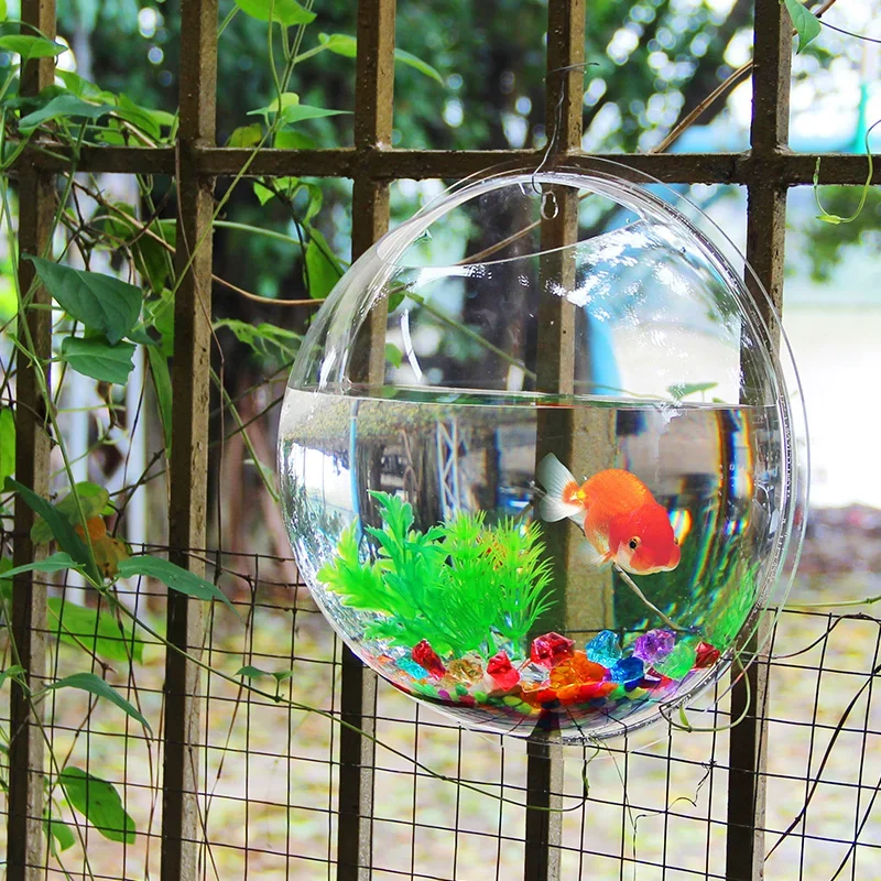 Pinsjar Ciotola per pesci in a - Betta Fish Tank recensione e prezzo