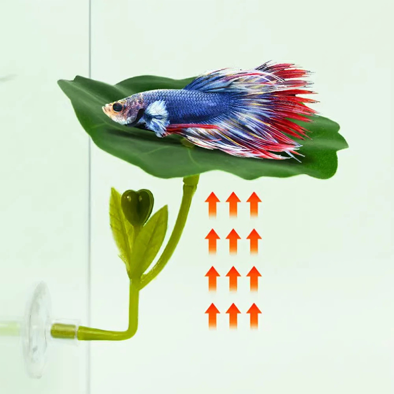 (Ce14)1/5PC Amaca a forma di f - Aquarium Fish Betta recensione e prezzo