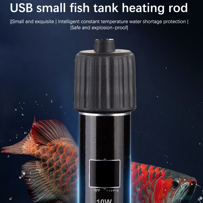 Asta riscaldante per mini acqu - Fish Tank Heater recensione e prezzo