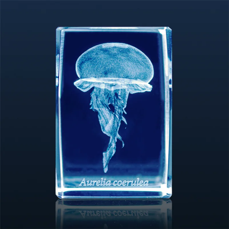 Giappone Gashapon meduse 3D Cr - Aquarium Fish Keeping recensione e prezzo