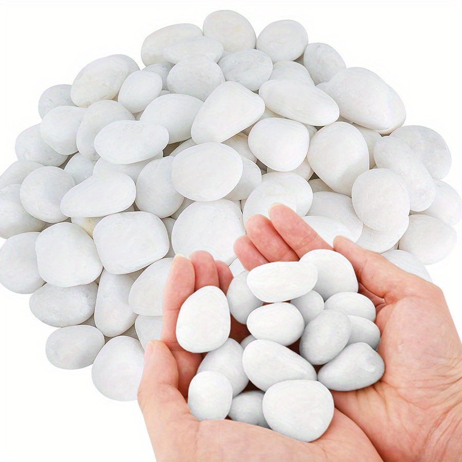 200/400g Bianco Alto Lucido Ci - Fish Aquarium Home recensione e prezzo