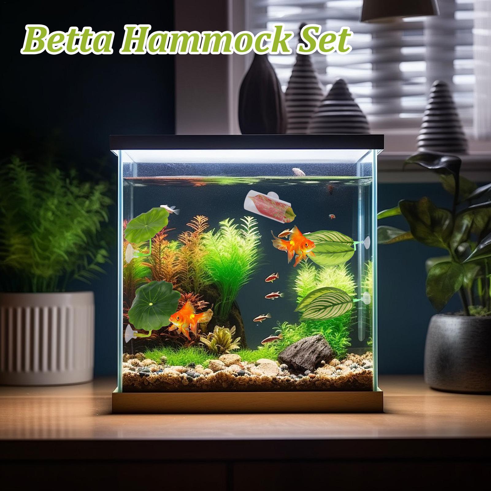 Amaca per pesci Betta 5 pezzi  - Aquarium Fish Betta recensione e prezzo
