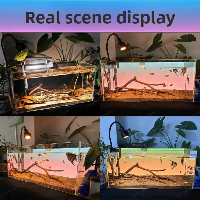 Pannello Luminoso in Acrilico  - Aquarium Light recensione e prezzo