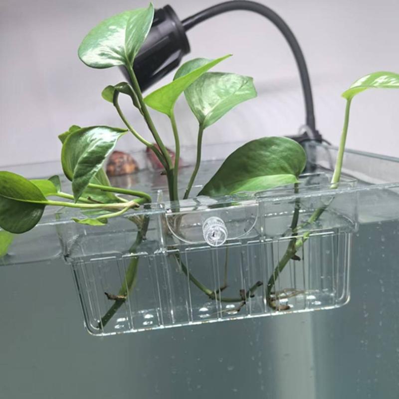Cestino per Piante Idroponiche - Aquarium Fish Tank recensione e prezzo