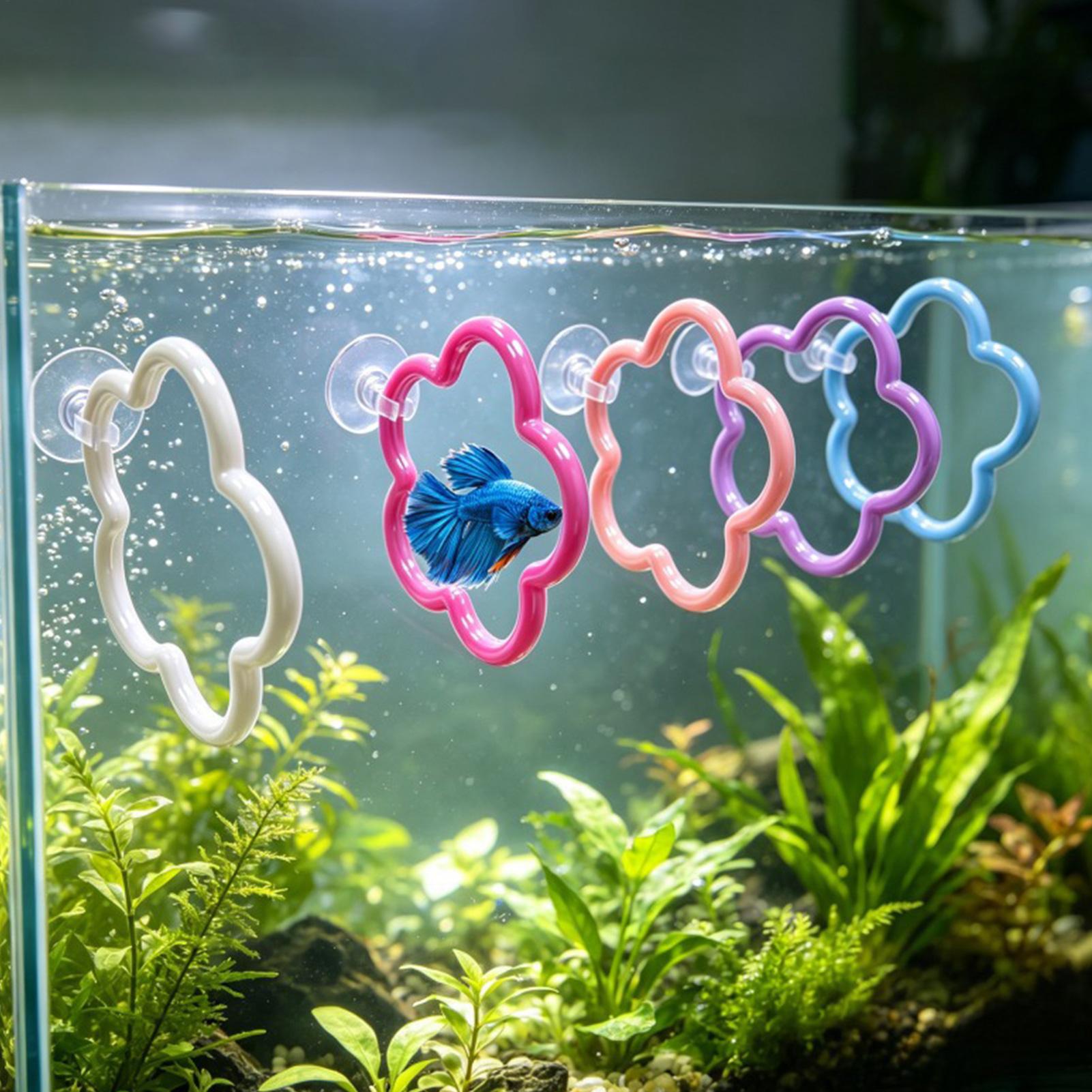Giocattoli per Pesci Betta, 5  - Aquarium Fish Betta recensione e prezzo