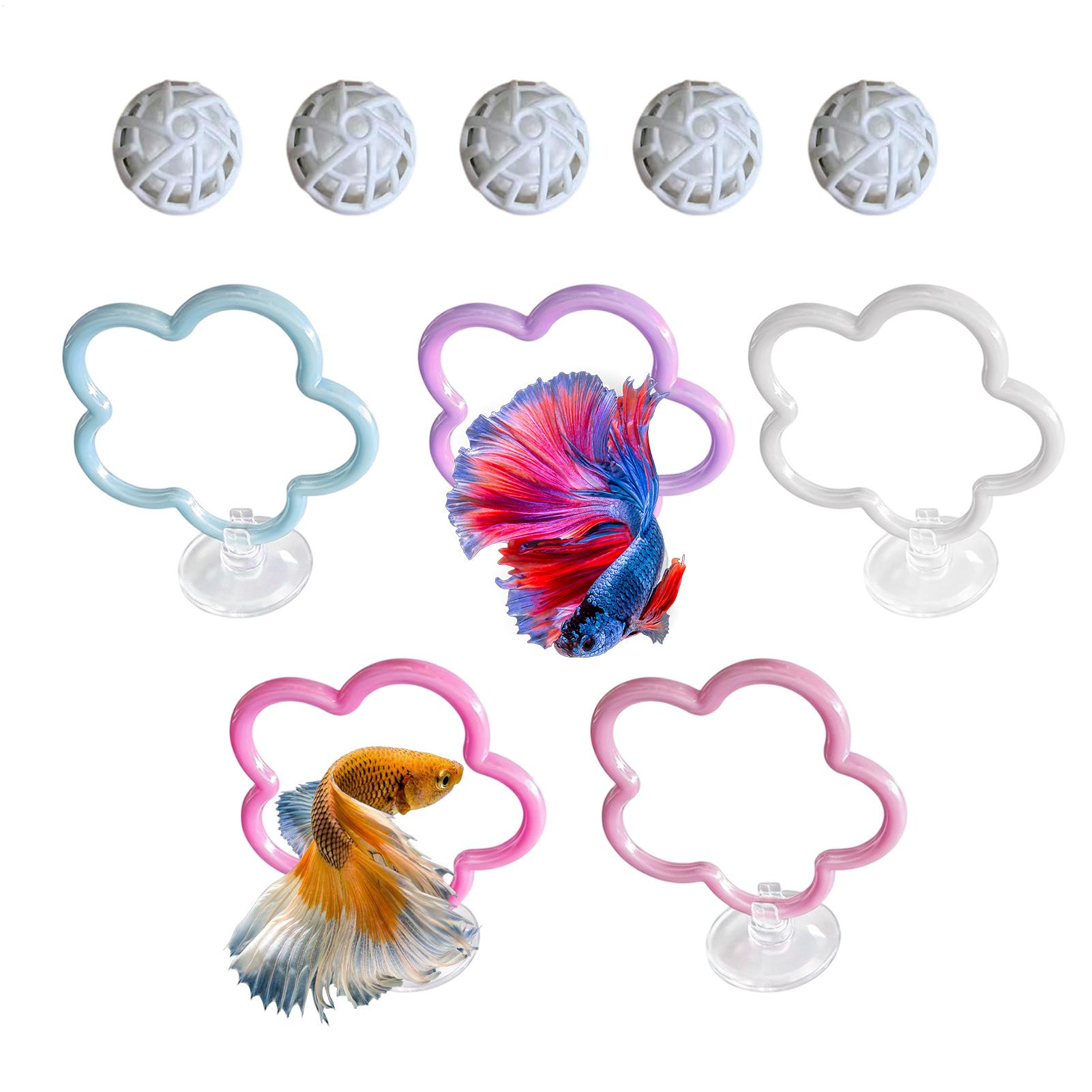Giocattoli per Pesci Betta, 5  - Aquarium Fish Betta recensione e prezzo