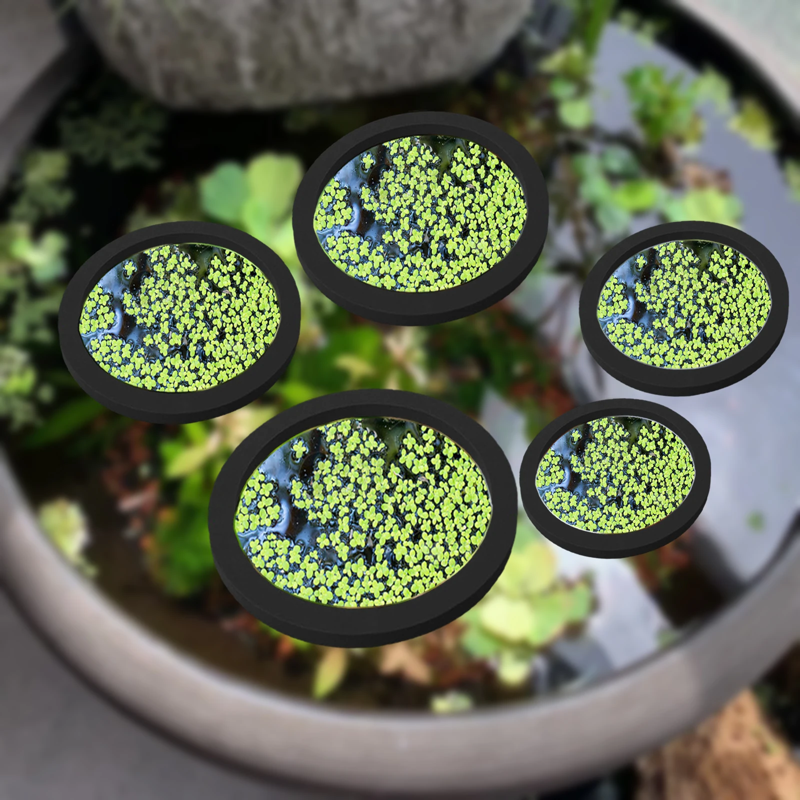 5 pz EVA Anello di Alimentazio - Aquarium Fish Tank recensione e prezzo