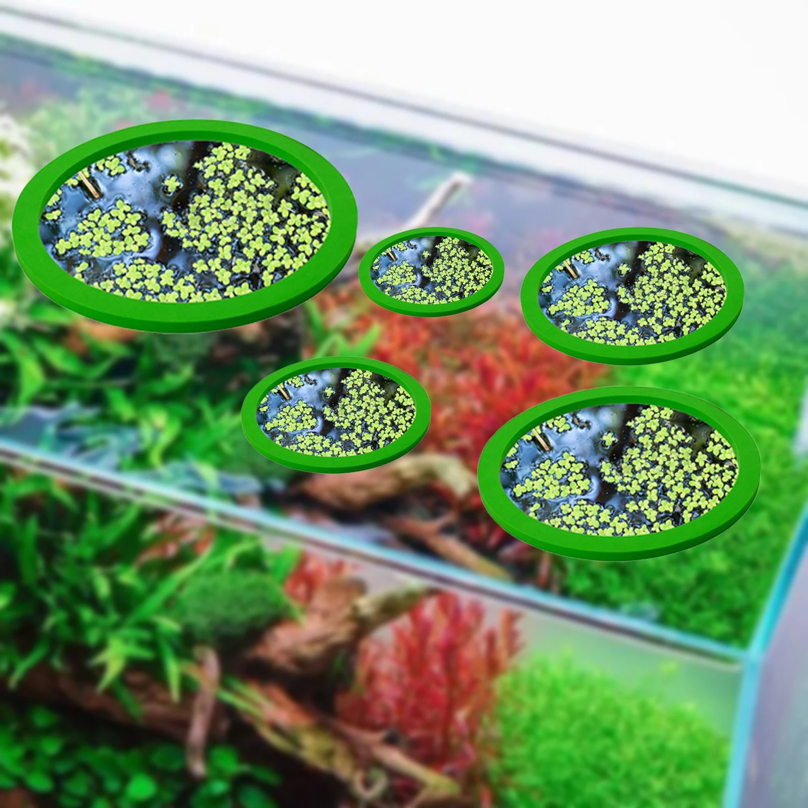 5 pz EVA Anello di Alimentazio - Aquarium Fish Tank recensione e prezzo