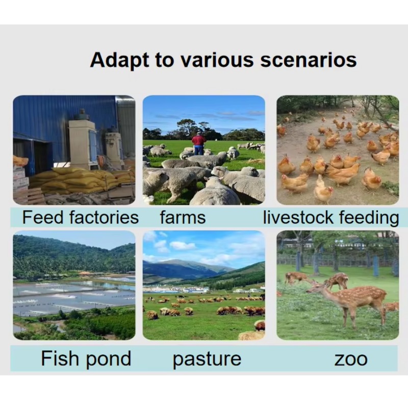 Estrusore per Mangimi per Cani - Fish Food recensione e prezzo