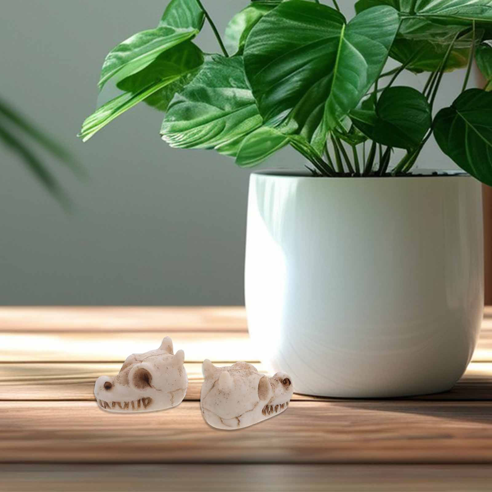 20 Pezzi Mini Teschio di Drago - Aquarium Decor recensione e prezzo