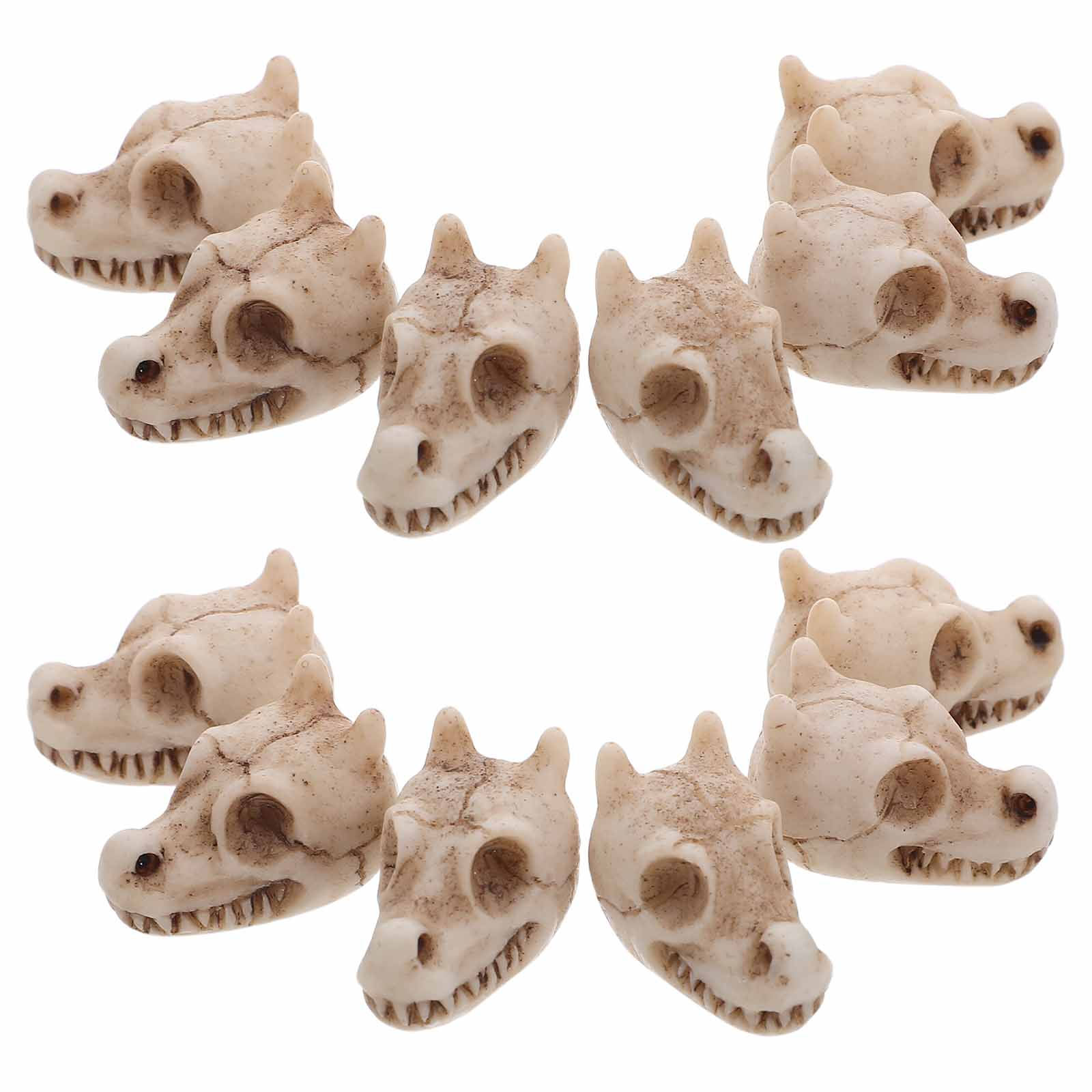 20 Pezzi Mini Teschio di Drago - Aquarium Decor recensione e prezzo