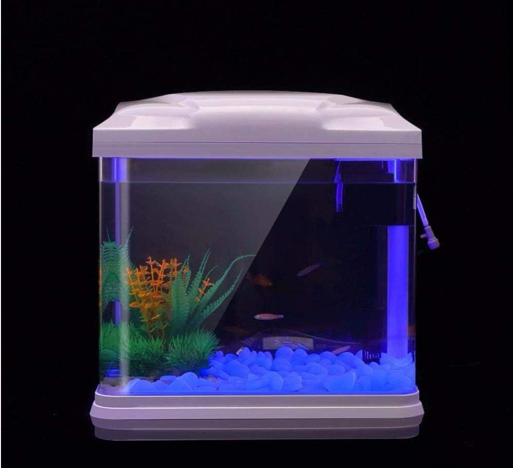Rocce per acquari che si illum - Fish Tank Gravel recensione e prezzo