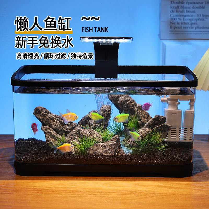 Acquario da tavolo con filtro  - Fish Tank Filter recensione e prezzo