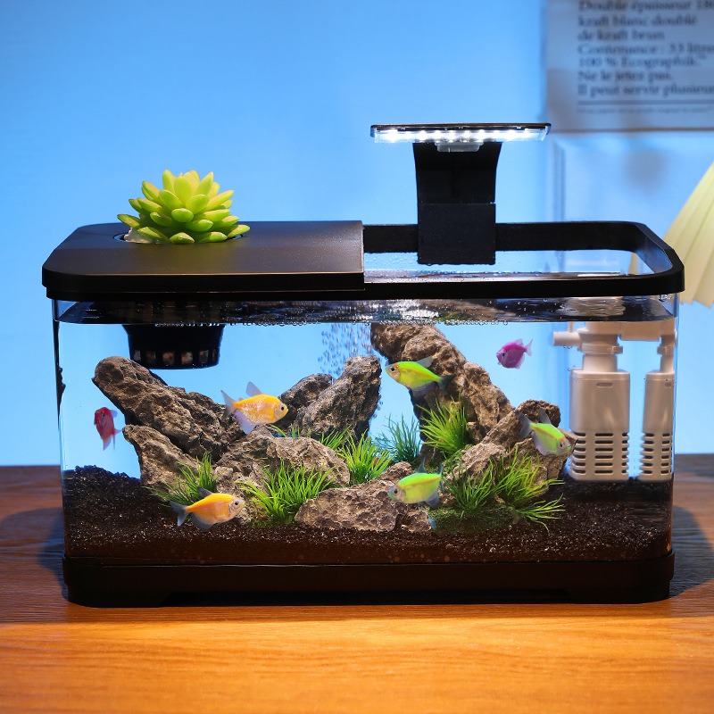 Acquario da tavolo con filtro  - Fish Tank Filter recensione e prezzo