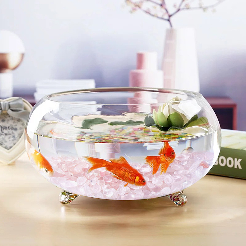 500 g/borsa pietre naturali ma - Aquarium Decor recensione e prezzo