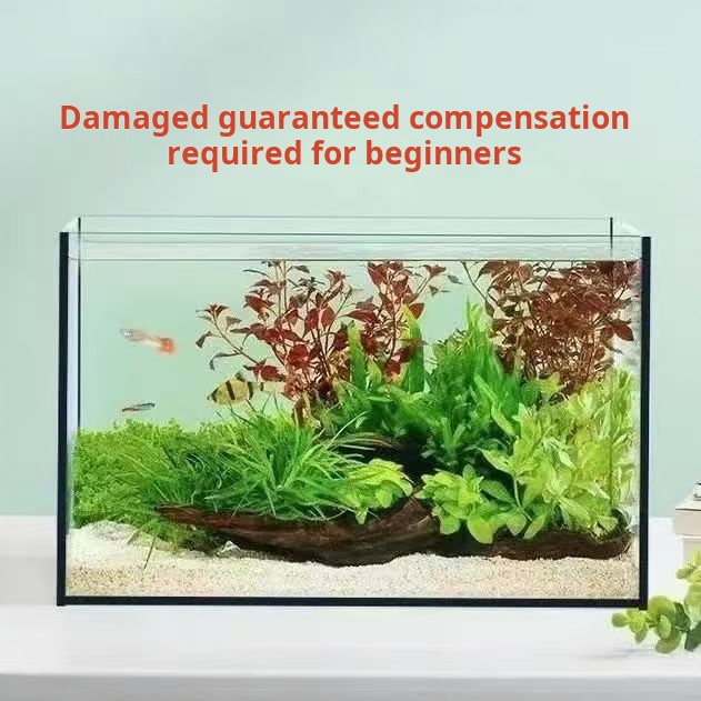 Acquario in vetro rettangolare - Aquarium Fish Keeping recensione e prezzo