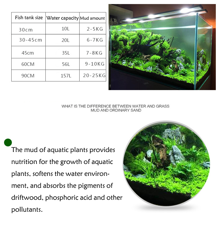 Acquario semi di piante terren - Fish Tank Gravel recensione e prezzo