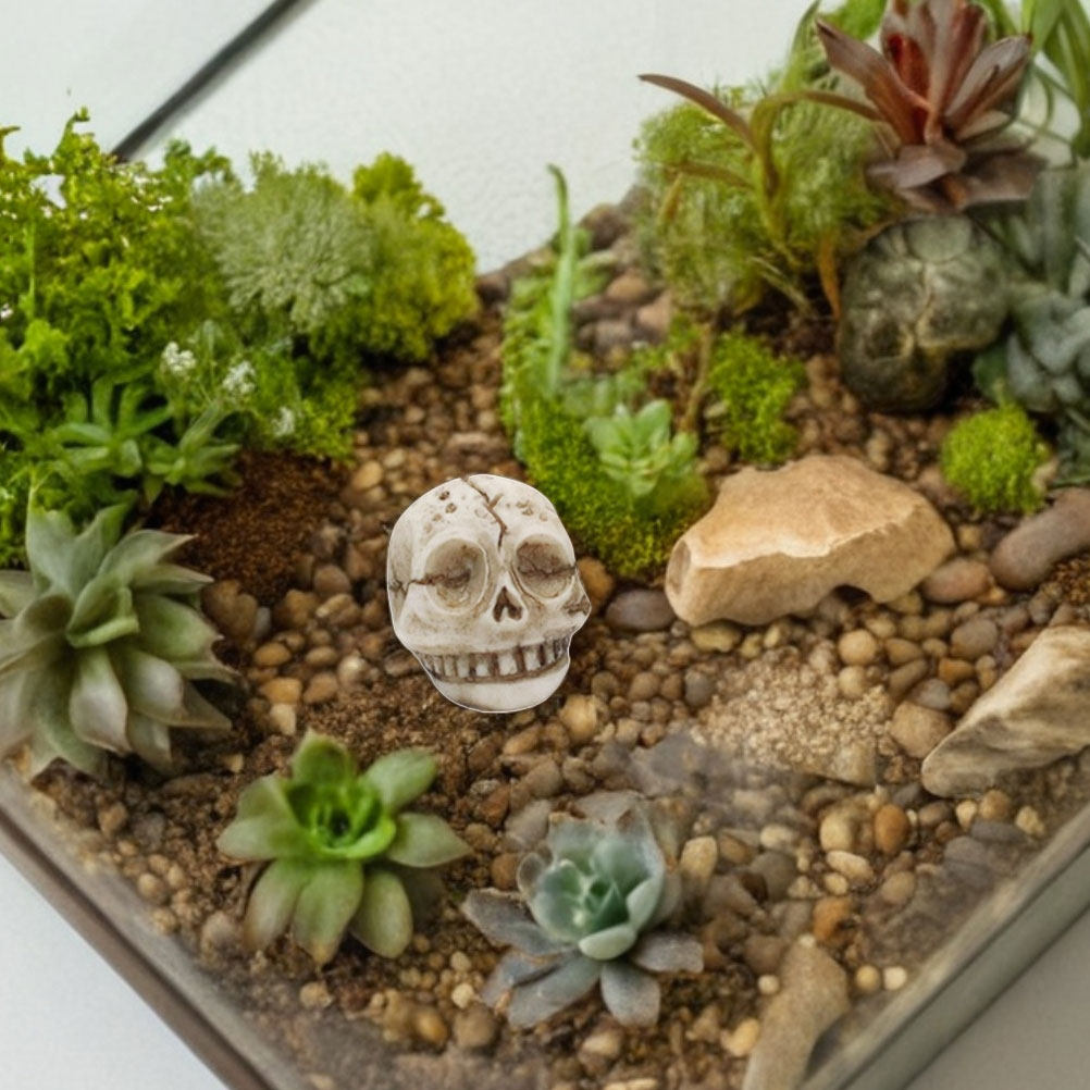20 pezzi di statue di teschi s - Aquarium Decor recensione e prezzo