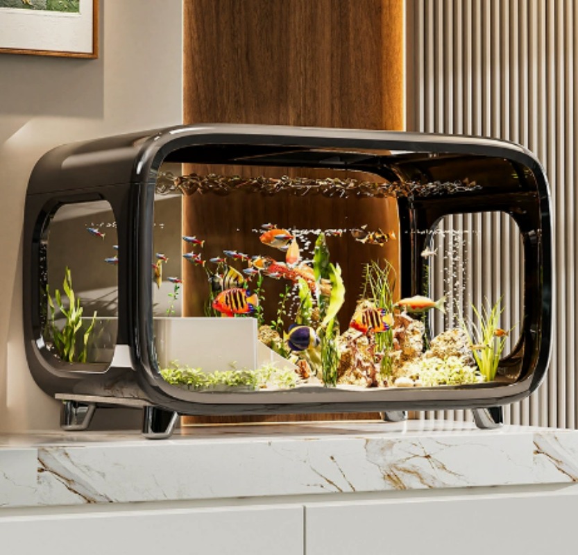 Acquario ecologico trasparente - Fish Aquarium Home recensione e prezzo