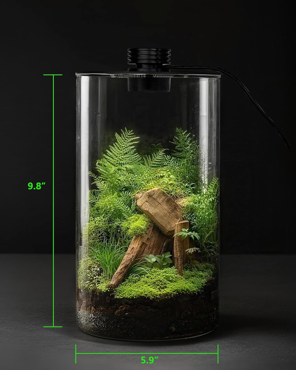 Terrario in vetro da interno c - Betta Fish Tank recensione e prezzo
