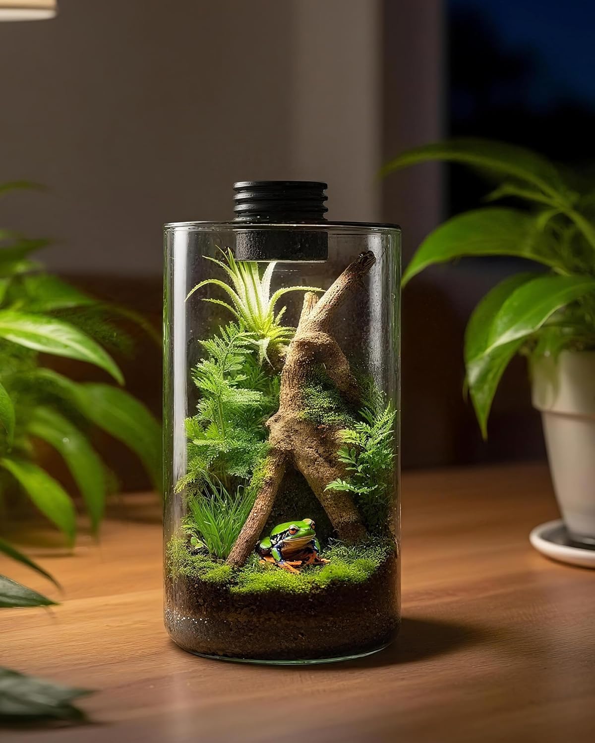 Terrario in vetro da interno c - Betta Fish Tank recensione e prezzo